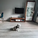Keja 아파트 올레코